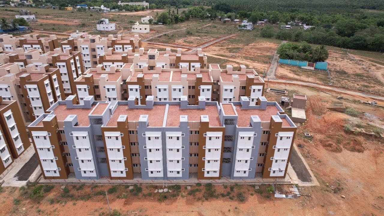 Rajapalayam gallery 6