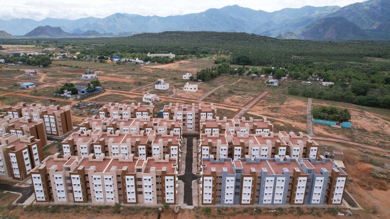 Rajapalayam gallery 4