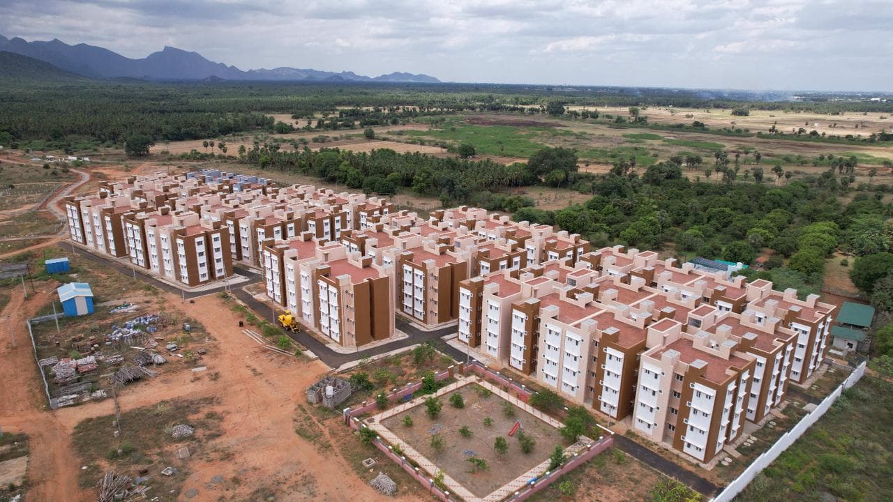 Rajapalayam gallery 3